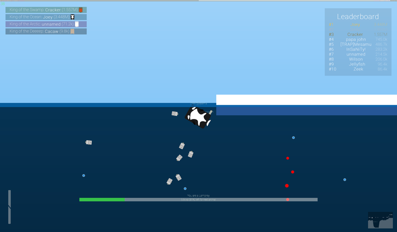 My killer whale friend. Thanks for all the food!Â